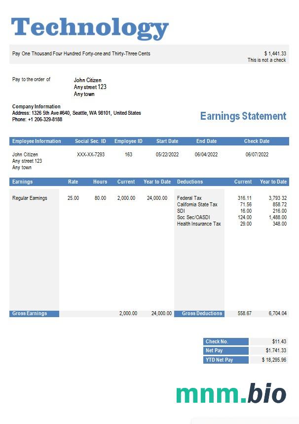 szablon Paystub firmy technologicznej w formatach Word i PDF